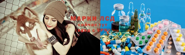 шишки Белоозёрский
