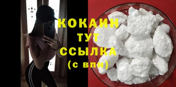 шишки Белоозёрский