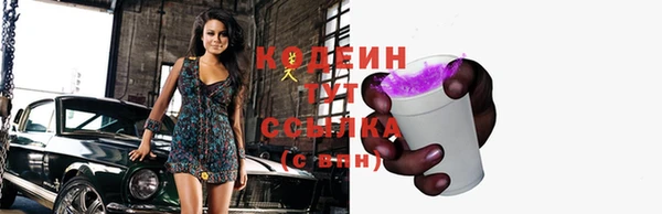 шишки Белоозёрский