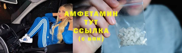 шишки Белоозёрский