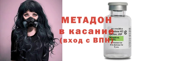 шишки Белоозёрский