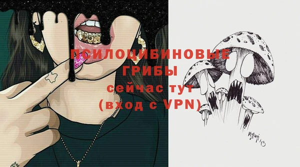 мяу мяу мука Белокуриха