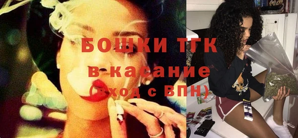 шишки Белоозёрский