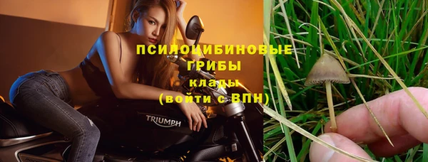 дживик Беломорск
